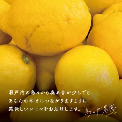 ふるさと納税 今治市 【訳あり】先行受付 島のねレモン 5kg 【K001610】 |  | 02