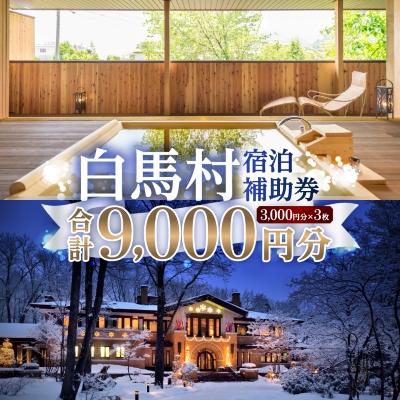 ふるさと納税 白馬村 白馬村 宿泊補助券9,000円分(3,000円分×3枚)