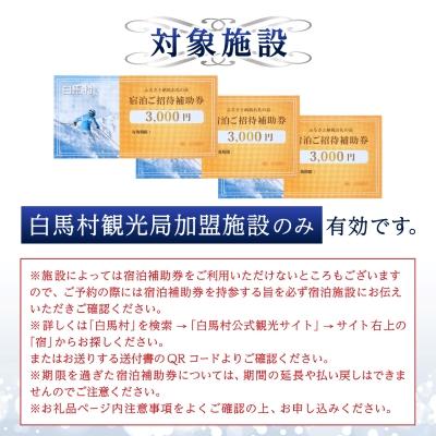 ふるさと納税 白馬村 白馬村 宿泊補助券9,000円分(3,000円分×3枚 
