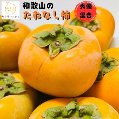 ふるさと納税 広川町 [先行予約・2026年10月〜発送] 和歌山のたねなし柿 約2kg[訳あり]