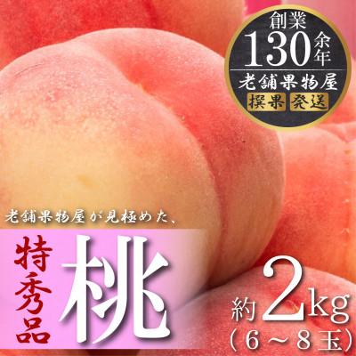 ふるさと納税 坂出市 [2026年6月下旬より順次発送]特秀品!坂出生まれの「桃」 約2kg(6〜8玉)