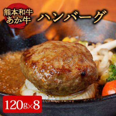ふるさと納税 阿蘇市 あか牛100%ハンバーグ 120g×8個(阿蘇市)