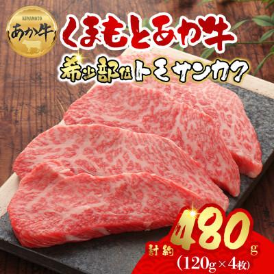 ふるさと納税 阿蘇市 [GI認証]くまもとあか牛トモサンカク 120g×4枚(阿蘇市)