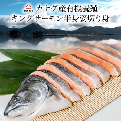 ふるさと納税 いすみ市 カナダ産キングサーモン半身姿切身 甘塩 1.6kg