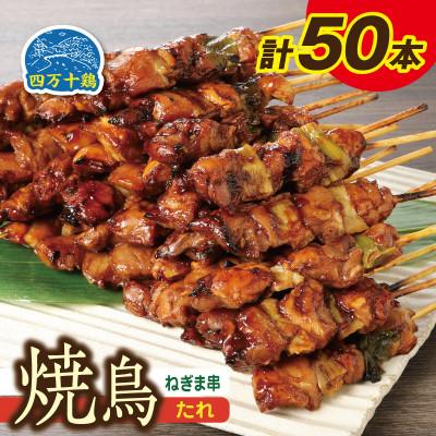 ふるさと納税 高知市 四万十鶏 焼鳥(ネギマ串)たれ 50本[CK007]