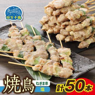 ふるさと納税 高知市 四万十鶏 焼鳥(ネギマ串)塩 50本[CK008]