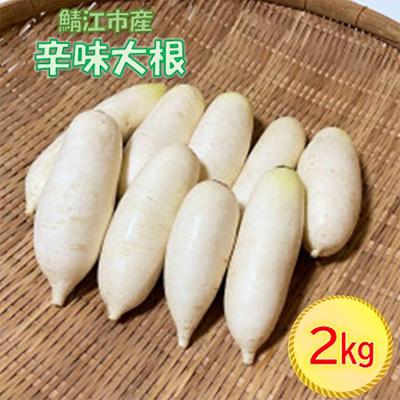 ふるさと納税 鯖江市 おろしそばに最適! 越前福井産辛味大根 2kg