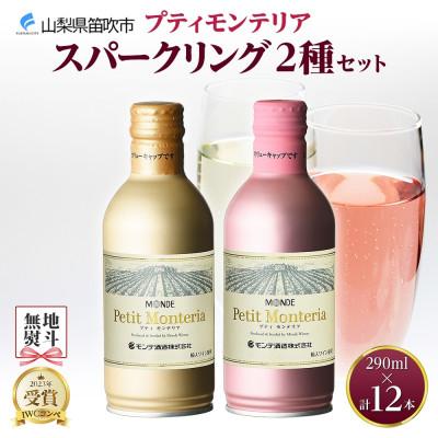 ふるさと納税 笛吹市 [熨斗]プティモンテリア スパークリング 2種飲み比べ 290ml 各6本 計12本 山梨県 笛吹市