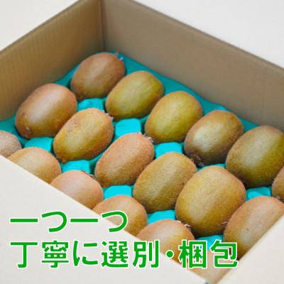 ふるさと納税 松山市 家庭用 キウイフルーツ 1.5kg (約12-18玉) 愛媛県産 2027年1月上旬〜2月下旬 |  | 02