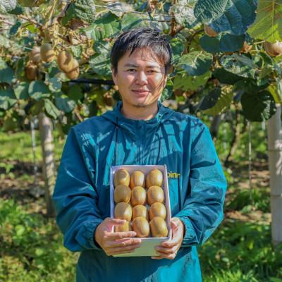 ふるさと納税 松山市 家庭用 キウイフルーツ 1.5kg (約12-18玉) 愛媛県産 2027年1月上旬〜2月下旬 |  | 03