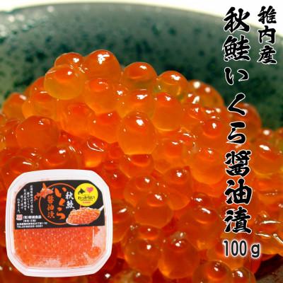 ふるさと納税 稚内市 [ 北海道 稚内産 ] 秋鮭 いくら 醤油漬 100g ( イクラ丼 海鮮丼 に!)