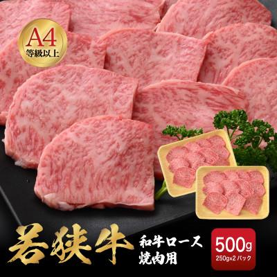 ふるさと納税 越前町 若狭牛 和牛ロース焼肉用 計500g(250g × 2パック)