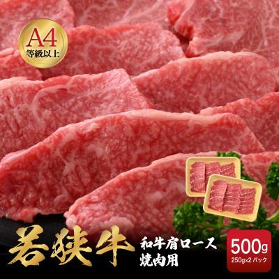 ふるさと納税 越前町 若狭牛 和牛肩ロース焼肉用 計500g(250g × 2パック)