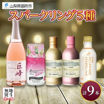 ふるさと納税 笛吹市 [熨斗]スパークリングワイン 5種 飲み比べ ボトルワイン1本・缶ワイン4種8本 山梨県 笛吹市