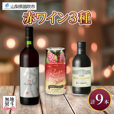 ふるさと納税 笛吹市 [熨斗] 赤ワイン 3種 9本 飲み比べ 瓶1本・缶2種8本セット モンデ酒造 山梨県 笛吹市