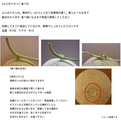 ふるさと納税 富良野市 【2027年発送】ふらのメロン赤肉　秀大2kg以上×2玉(計4kg以上) |  | 01