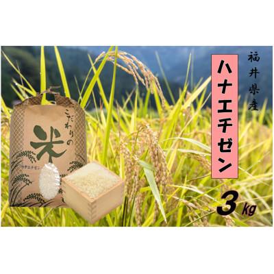 ふるさと納税 越前町 令和7年産 ハナエチゼン(精米) 3kg
