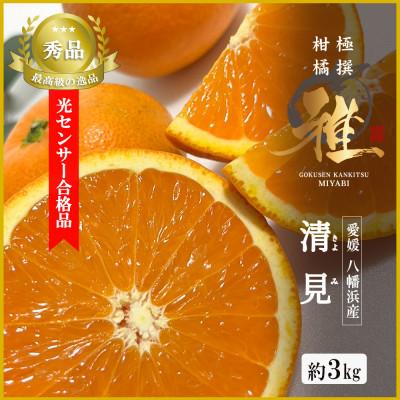 ふるさと納税 八幡浜市 2027年3月出荷開始 極撰柑橘[雅]光センサー合格品・完熟「清見」3キロ[C39-56]