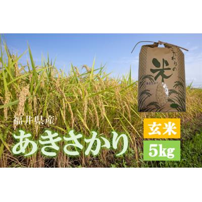 ふるさと納税 越前町 令和7年産 あきさかり(玄米) 5kg