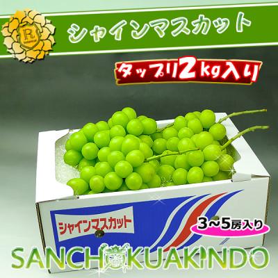 ふるさと納税 坂出市 ≪2026年8月下旬より発送開始予定≫ 特秀品