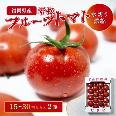 ふるさと納税 北九州市 若松濃縮トマト 1.2kg箱(15玉〜30玉入り)2箱 計約2.4kg