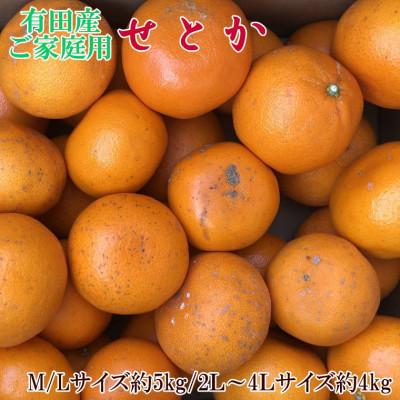 ふるさと納税 紀美野町 (訳あり・ご家庭用)一度は食べていただきたい「有田産のせとか」約4kg〜5kg[紀美野町]