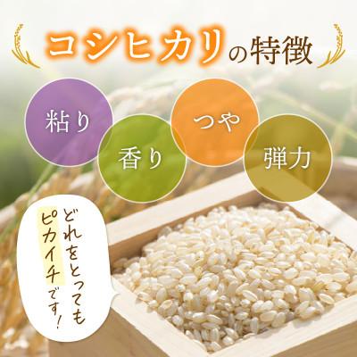 ふるさと納税 越前町 令和8年産　コシヒカリ(玄米)　3kg |  | 01