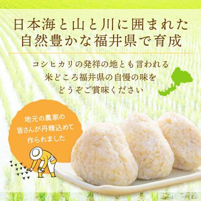 ふるさと納税 越前町 令和8年産　コシヒカリ(玄米)　3kg |  | 02
