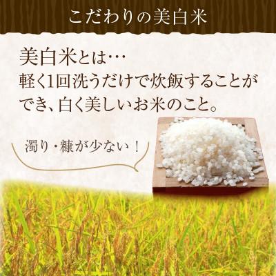 ふるさと納税 京丹後市 令和8年産　丹後こしひかり1等米3kg　美白精米 |  | 01