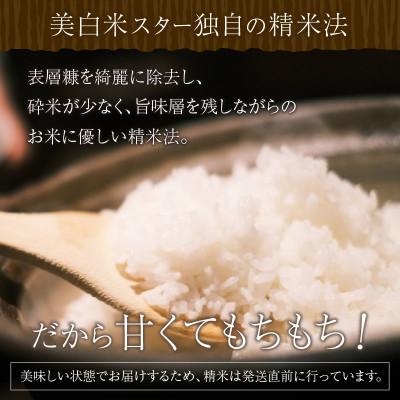 ふるさと納税 京丹後市 令和8年産　丹後こしひかり1等米3kg　美白精米 |  | 02