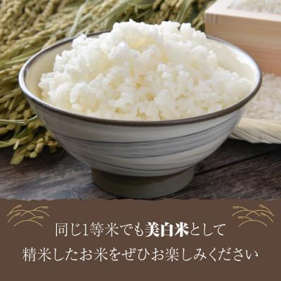 ふるさと納税 京丹後市 令和8年産　丹後こしひかり1等米3kg　美白精米 |  | 03