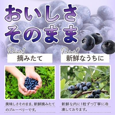 ふるさと納税 京丹後市 おいしさそのまま摘みたてをハイブリッド冷凍　北畿水産の冷凍ブルーベリー 1kg |  | 02