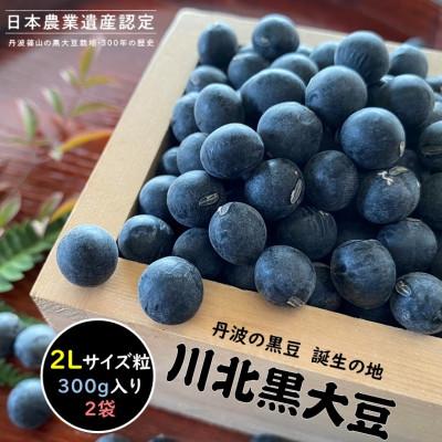 ふるさと納税 丹波篠山市 [2025年12月収穫新豆 予約]川北黒大豆 2Lサイズ粒 300g×2袋