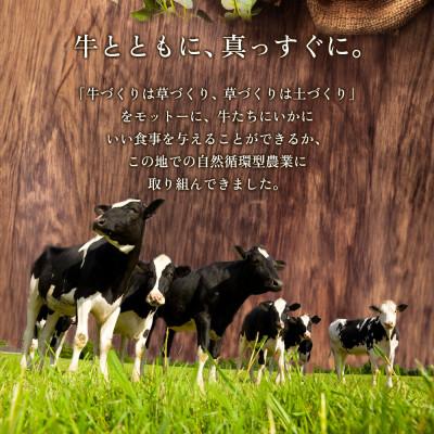 ふるさと納税 阿蘇市 阿部牧場三ツ星受賞ミルク乳製品色々セット(牛乳・のむヨーグルト・モッツァレラチーズ・ストリングス)_3