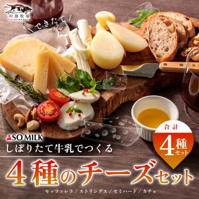 ふるさと納税 阿蘇市 阿部牧場しぼりたて三ツ星牛乳の出来立てチーズセット(モッツァレラ・ストリングス・カチョ・セミハード)