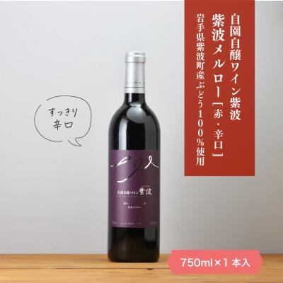 ふるさと納税 紫波町 [自園自醸ワイン紫波]紫波メルロー 750ml×1本