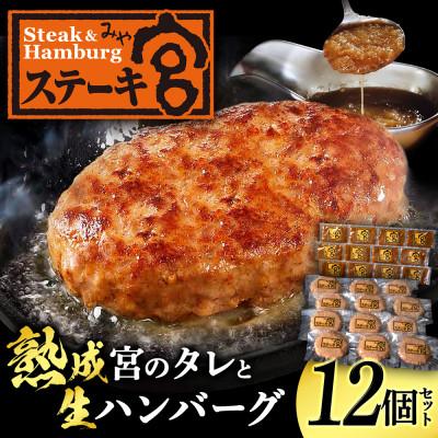 ふるさと納税 長浜市 ステーキ宮　熟成宮たれと特製ハンバーグ | 
