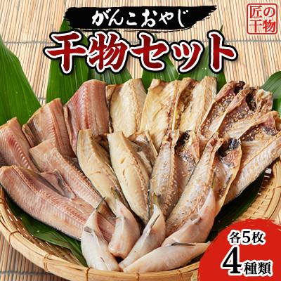 ふるさと納税 いすみ市 がんこおやじ 匠の干物セット