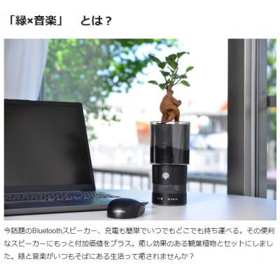 ふるさと納税 小山市 マイスピーカー Midori