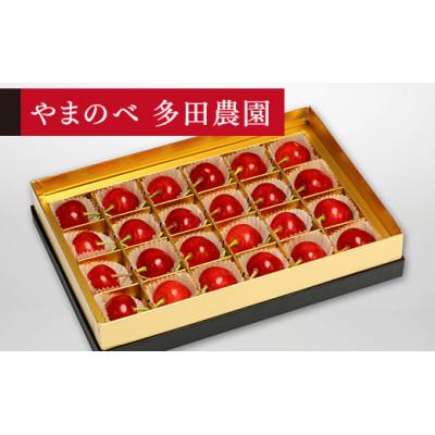 ふるさと納税 中山町 [2026年 先行受付][珠玉佐藤錦]みやび箱 24粒