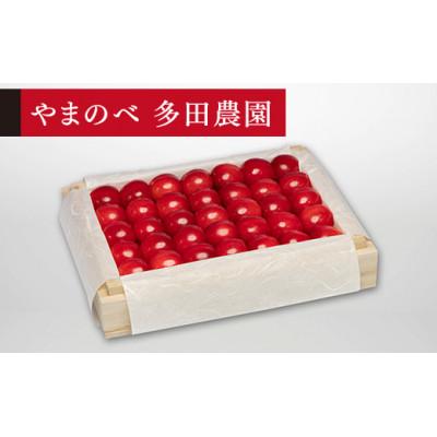 ふるさと納税 中山町 [2026年 先行受付][特選佐藤錦]桐箱詰 約300g