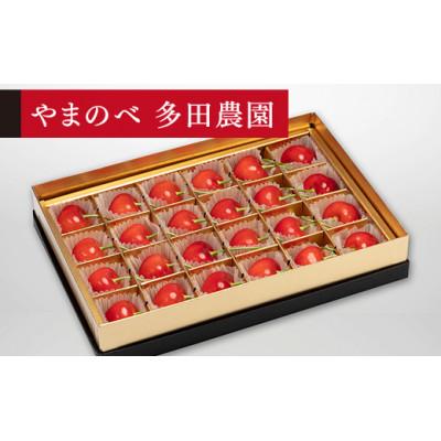 ふるさと納税 中山町 [2026年 先行受付][珠玉紅秀峰]みやび箱 24粒