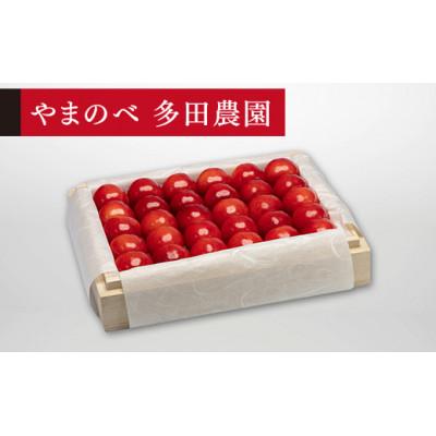 ふるさと納税 中山町 [2026年 先行受付][特選紅秀峰]桐箱詰 約300g