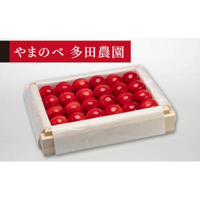 ふるさと納税 中山町 [2026年 先行受付][特選ダイアナブライト]桐箱詰 約300g