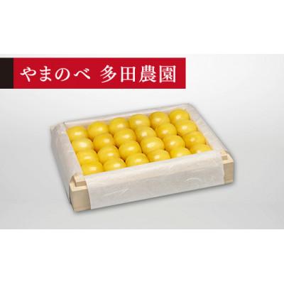 ふるさと納税 中山町 [2026年 先行受付][特選月山錦]桐箱詰 約300g