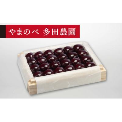 ふるさと納税 中山町 [2026年 先行受付][特選サミット]桐箱詰 約300g