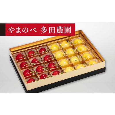 ふるさと納税 中山町 [2026年 先行受付][月山錦・紅秀峰]珠玉みやび箱 24粒