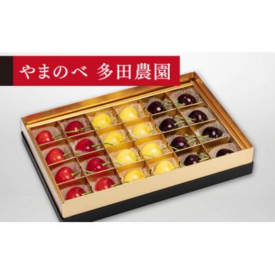 ふるさと納税 中山町 [2026年 先行受付][月山錦・紅秀峰・サミット]珠玉みやび箱 24粒