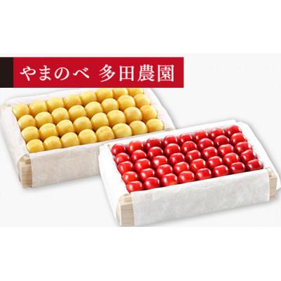 ふるさと納税 中山町 [2026年 先行受付][特選月山錦・紅秀峰]桐箱詰 各700g