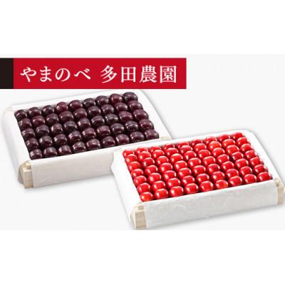 ふるさと納税 中山町 [2026年 先行受付][特選紅姫・サミット]桐箱詰 各1kg